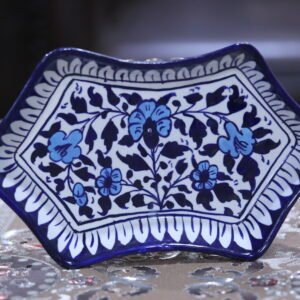 Samosa Tray